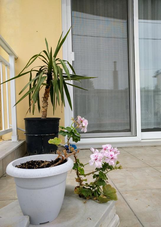 Dimitris Luxury Apartment Keramotí Buitenkant foto